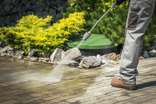 Best Sidewalk and Walkway Cleaning  in Rushville, IN