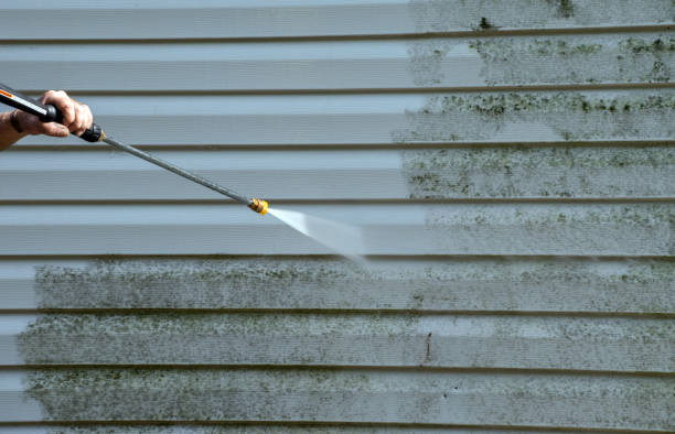 Best Driveway Pressure Washing  in Rushville, IN